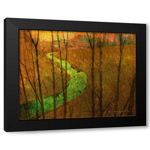Woodblock Stream I Black Modern Wood Framed Art Print by Vest, Chris
