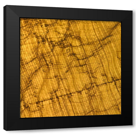 Natures Textures I Black Modern Wood Framed Art Print with Double Matting by Vision Studio
