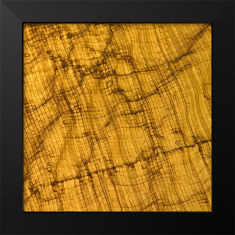 Natures Textures I Black Modern Wood Framed Art Print by Vision Studio