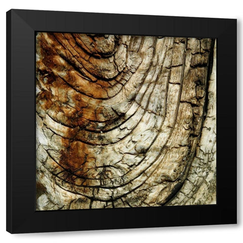 Natures Textures III Black Modern Wood Framed Art Print with Double Matting by Vision Studio