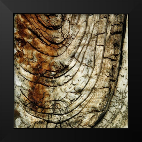 Natures Textures III Black Modern Wood Framed Art Print by Vision Studio