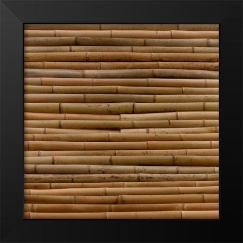 Natures Textures IV Black Modern Wood Framed Art Print by Vision Studio