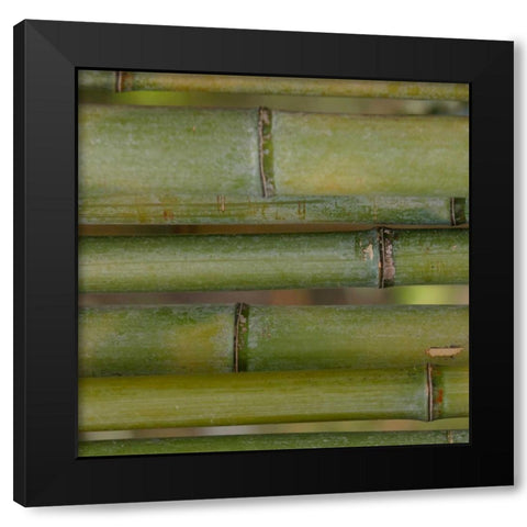 Natures Textures V Black Modern Wood Framed Art Print with Double Matting by Vision Studio