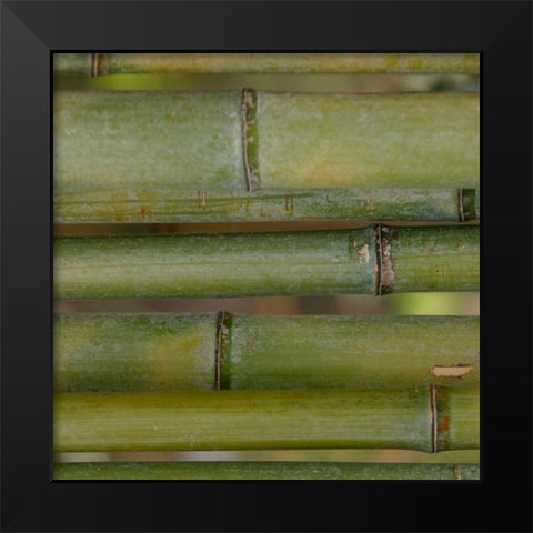 Natures Textures V Black Modern Wood Framed Art Print by Vision Studio