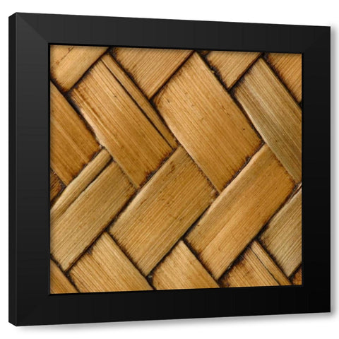 Natures Textures VI Black Modern Wood Framed Art Print with Double Matting by Vision Studio