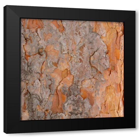 Natures Textures VII Black Modern Wood Framed Art Print with Double Matting by Vision Studio