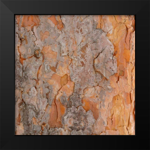 Natures Textures VII Black Modern Wood Framed Art Print by Vision Studio