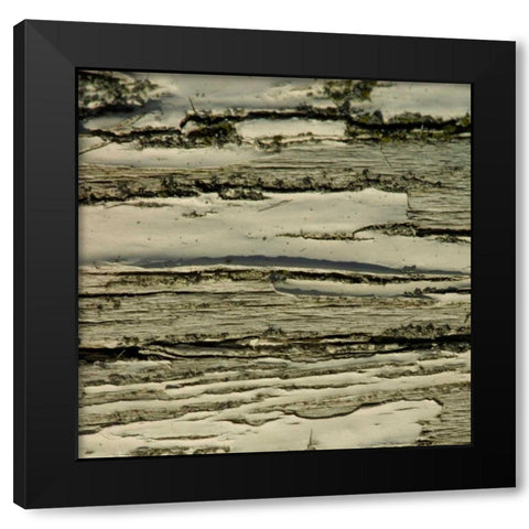 Natures Textures VIII Black Modern Wood Framed Art Print with Double Matting by Vision Studio