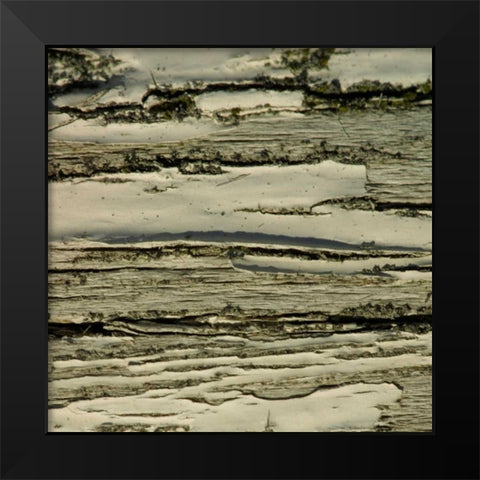 Natures Textures VIII Black Modern Wood Framed Art Print by Vision Studio
