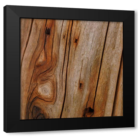 Natures Textures IX Black Modern Wood Framed Art Print with Double Matting by Vision Studio