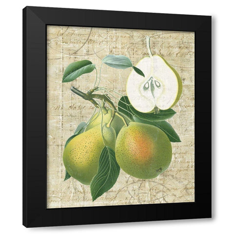 Orchard Medley II Black Modern Wood Framed Art Print with Double Matting by Vision Studio