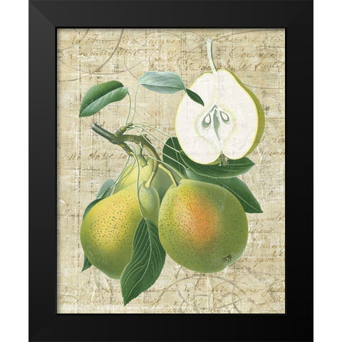 Orchard Medley II Black Modern Wood Framed Art Print by Vision Studio