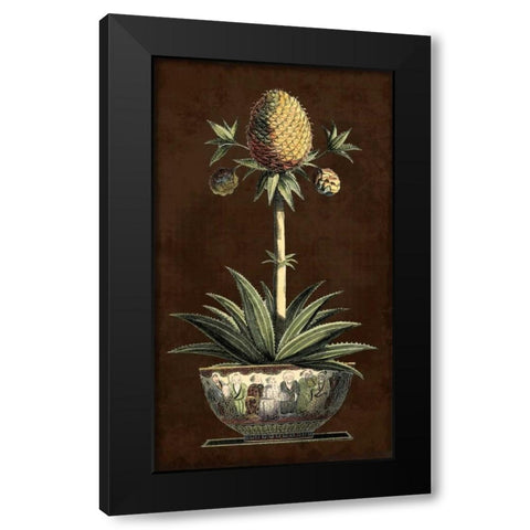 Potted Pineapple I Black Modern Wood Framed Art Print with Double Matting by Vision Studio