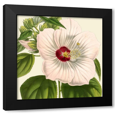 Tropical Vision I Black Modern Wood Framed Art Print by Vision Studio