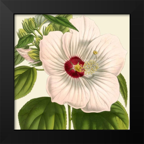 Tropical Vision I Black Modern Wood Framed Art Print by Vision Studio