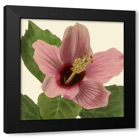 Tropical Vision II Black Modern Wood Framed Art Print with Double Matting by Vision Studio