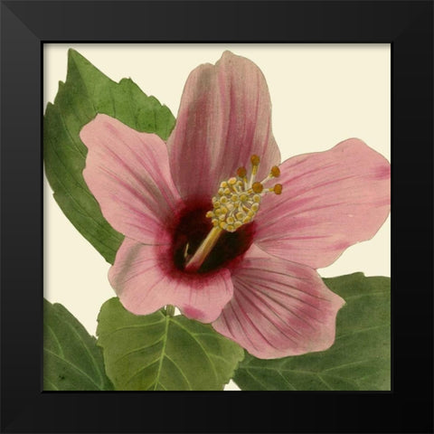 Tropical Vision II Black Modern Wood Framed Art Print by Vision Studio