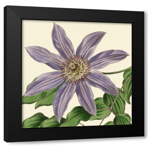 Tropical Vision III Black Modern Wood Framed Art Print with Double Matting by Vision Studio
