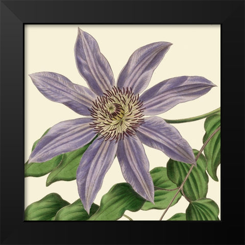 Tropical Vision III Black Modern Wood Framed Art Print by Vision Studio