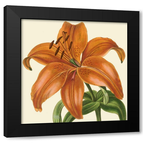 Tropical Vision IV Black Modern Wood Framed Art Print with Double Matting by Vision Studio