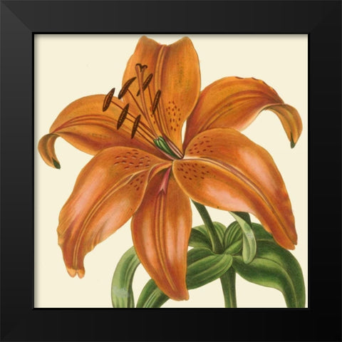 Tropical Vision IV Black Modern Wood Framed Art Print by Vision Studio