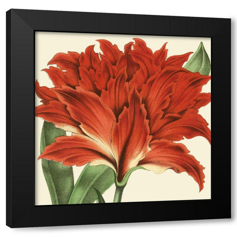 Tropical Vision V Black Modern Wood Framed Art Print with Double Matting by Vision Studio