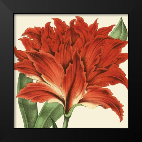 Tropical Vision V Black Modern Wood Framed Art Print by Vision Studio