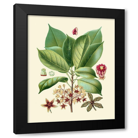 Botanical Glory I Black Modern Wood Framed Art Print by Vision Studio
