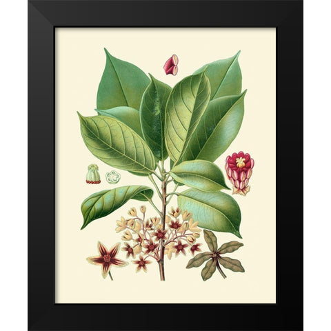 Botanical Glory I Black Modern Wood Framed Art Print by Vision Studio