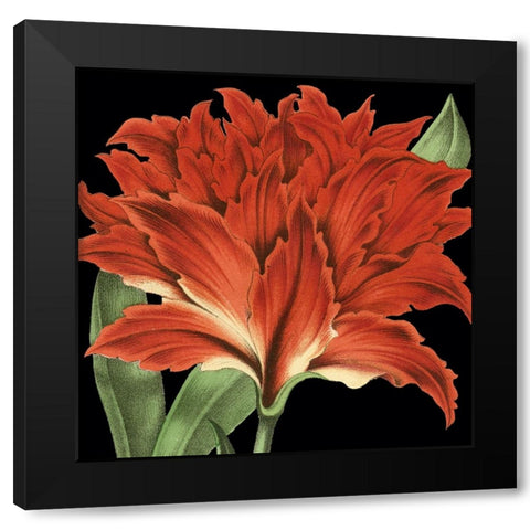 Dramatic Tropical Vision V Black Modern Wood Framed Art Print by Vision Studio