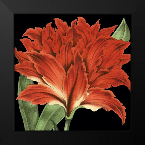 Dramatic Tropical Vision V Black Modern Wood Framed Art Print by Vision Studio