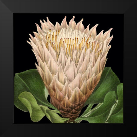 Dramatic Tropical Vision VI Black Modern Wood Framed Art Print by Vision Studio