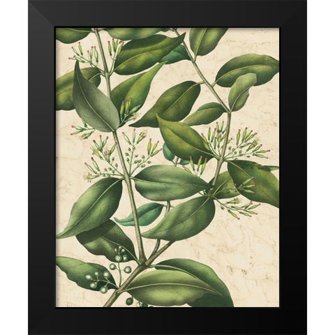Botanic Beauty III Black Modern Wood Framed Art Print by Vision Studio