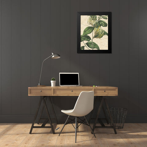 Botanic Beauty IV Black Modern Wood Framed Art Print by Vision Studio