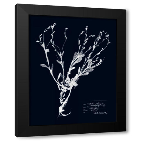 Impressions on Indigo II Black Modern Wood Framed Art Print by Vision Studio