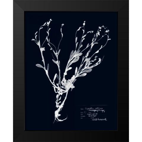 Impressions on Indigo II Black Modern Wood Framed Art Print by Vision Studio