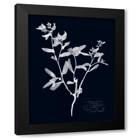 Impressions on Indigo III Black Modern Wood Framed Art Print with Double Matting by Vision Studio