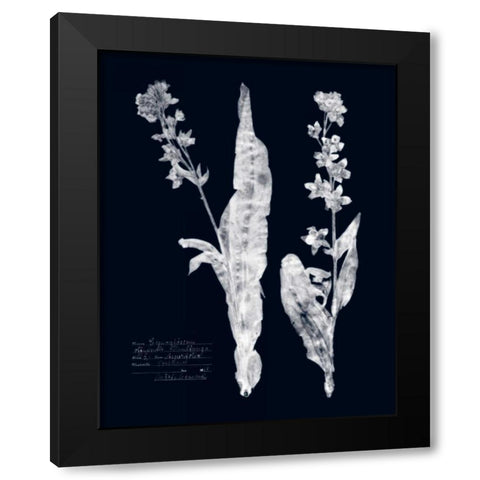 Impressions on Indigo IV Black Modern Wood Framed Art Print with Double Matting by Vision Studio