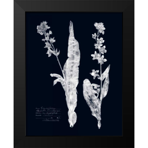 Impressions on Indigo IV Black Modern Wood Framed Art Print by Vision Studio