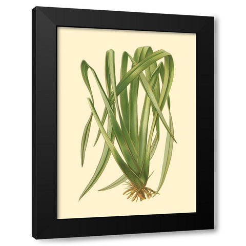 Custom Terra Collection III (KB) Black Modern Wood Framed Art Print with Double Matting by Vision Studio