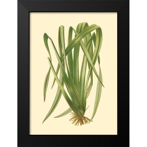 Custom Terra Collection III (KB) Black Modern Wood Framed Art Print by Vision Studio
