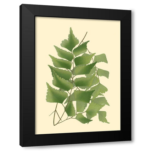 Custom Terra Collection IV (KB) Black Modern Wood Framed Art Print by Vision Studio