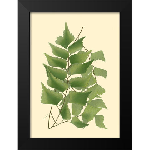 Custom Terra Collection IV (KB) Black Modern Wood Framed Art Print by Vision Studio
