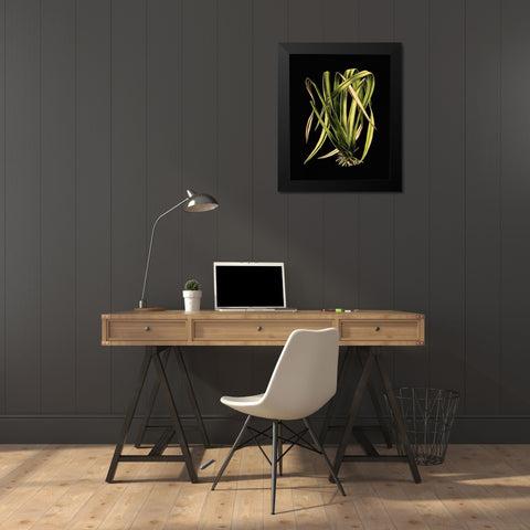 Green Leaves on Black IV Black Modern Wood Framed Art Print by Vision Studio