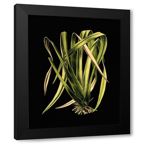 Green Leaves on Black IV Black Modern Wood Framed Art Print with Double Matting by Vision Studio
