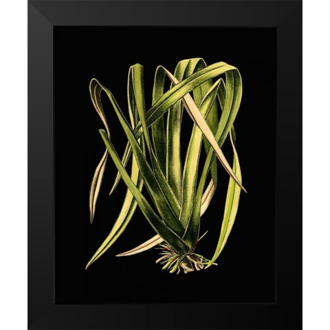 Green Leaves on Black IV Black Modern Wood Framed Art Print by Vision Studio