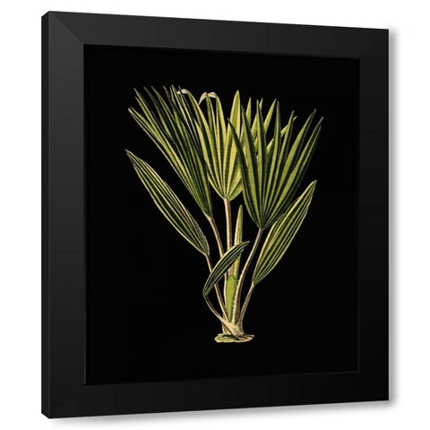 Green Leaves on Black V Black Modern Wood Framed Art Print with Double Matting by Vision Studio