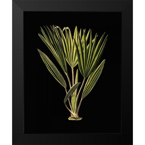 Green Leaves on Black V Black Modern Wood Framed Art Print by Vision Studio