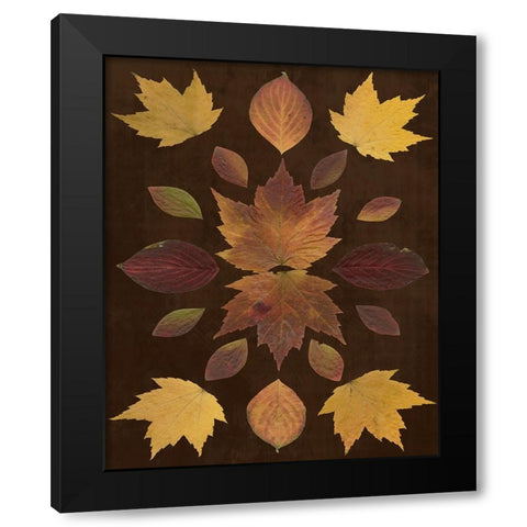 Kaleidoscope Leaves VI Black Modern Wood Framed Art Print with Double Matting by Vision Studio