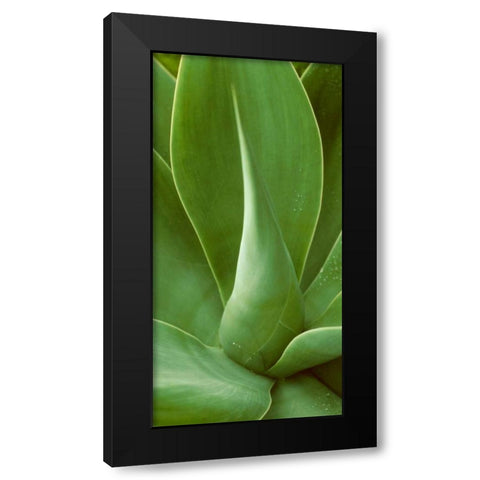 Patterned Nature I Black Modern Wood Framed Art Print with Double Matting by Vision Studio